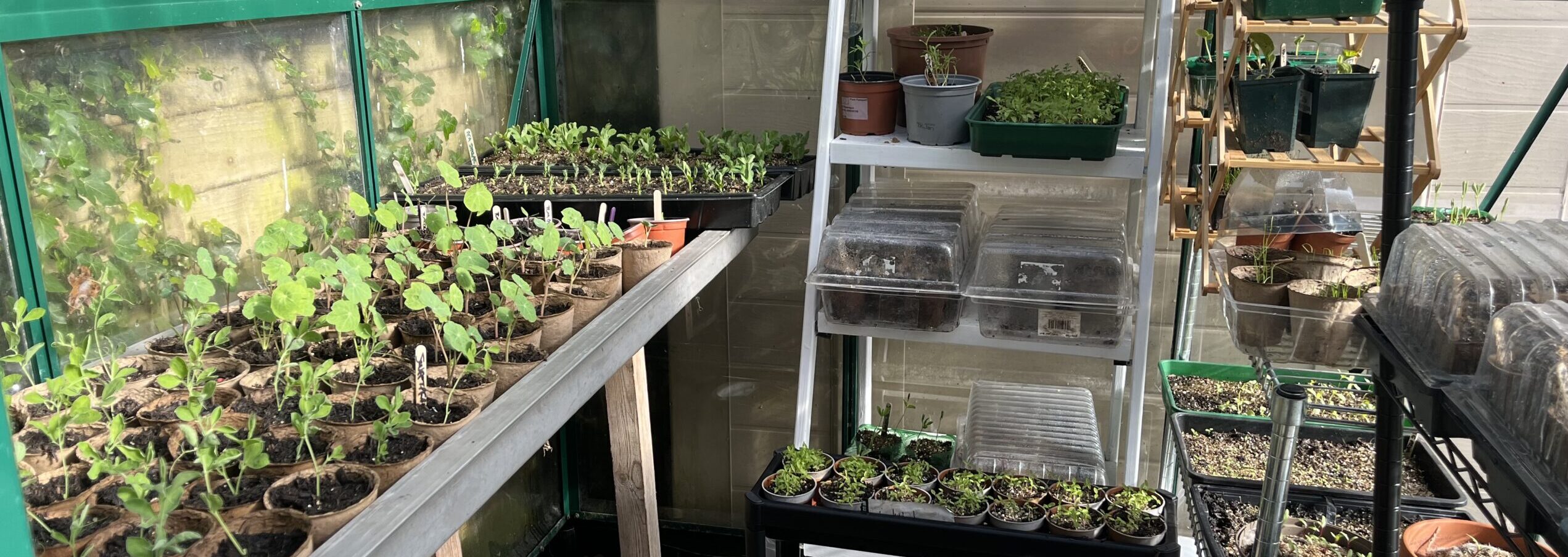 Why Spring Feels Like a Complicated Season & What to Do With That